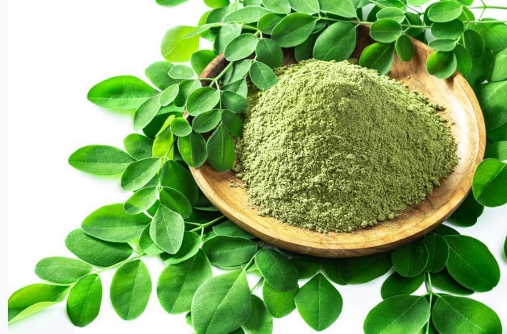 100 % Pure Organic Moringa Powder – Drumstick Leaf Powder Good For Hair & Skin