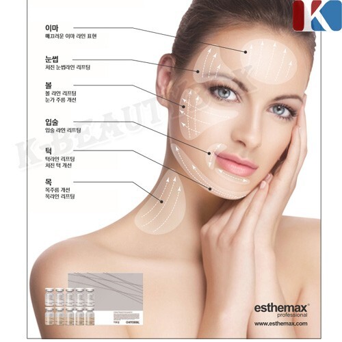 ESTHEMAX Collagen Ampoule 10EA Power Lifting Firming Ampoule Anti-Aging Ampoule