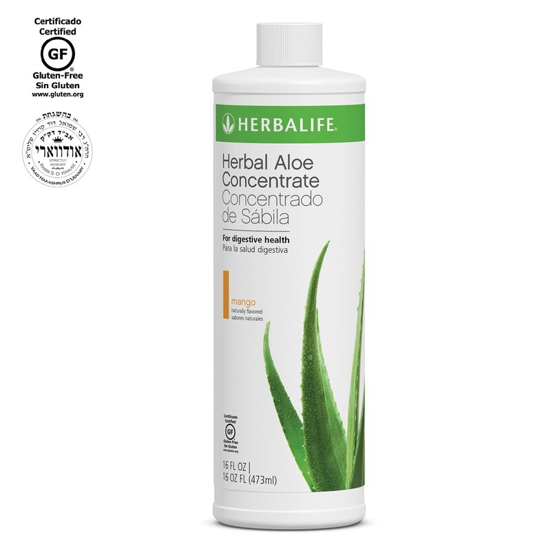 Herbal Aloe Concentrate Mango favor – 16oz