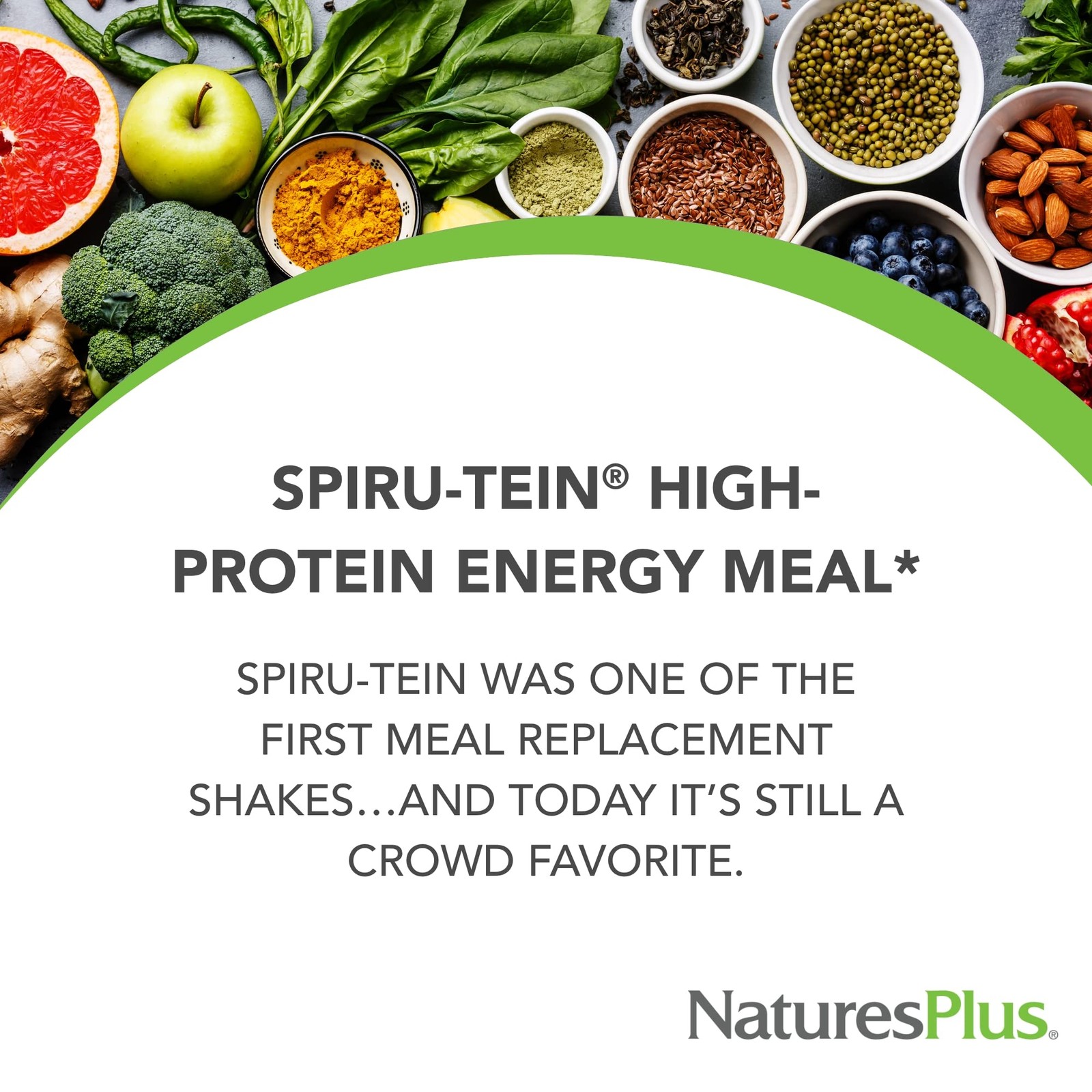 NaturesPlus SPIRU-TEIN, Vanilla – 1.06 lbs – Spirulina Pound (Pack of 1)