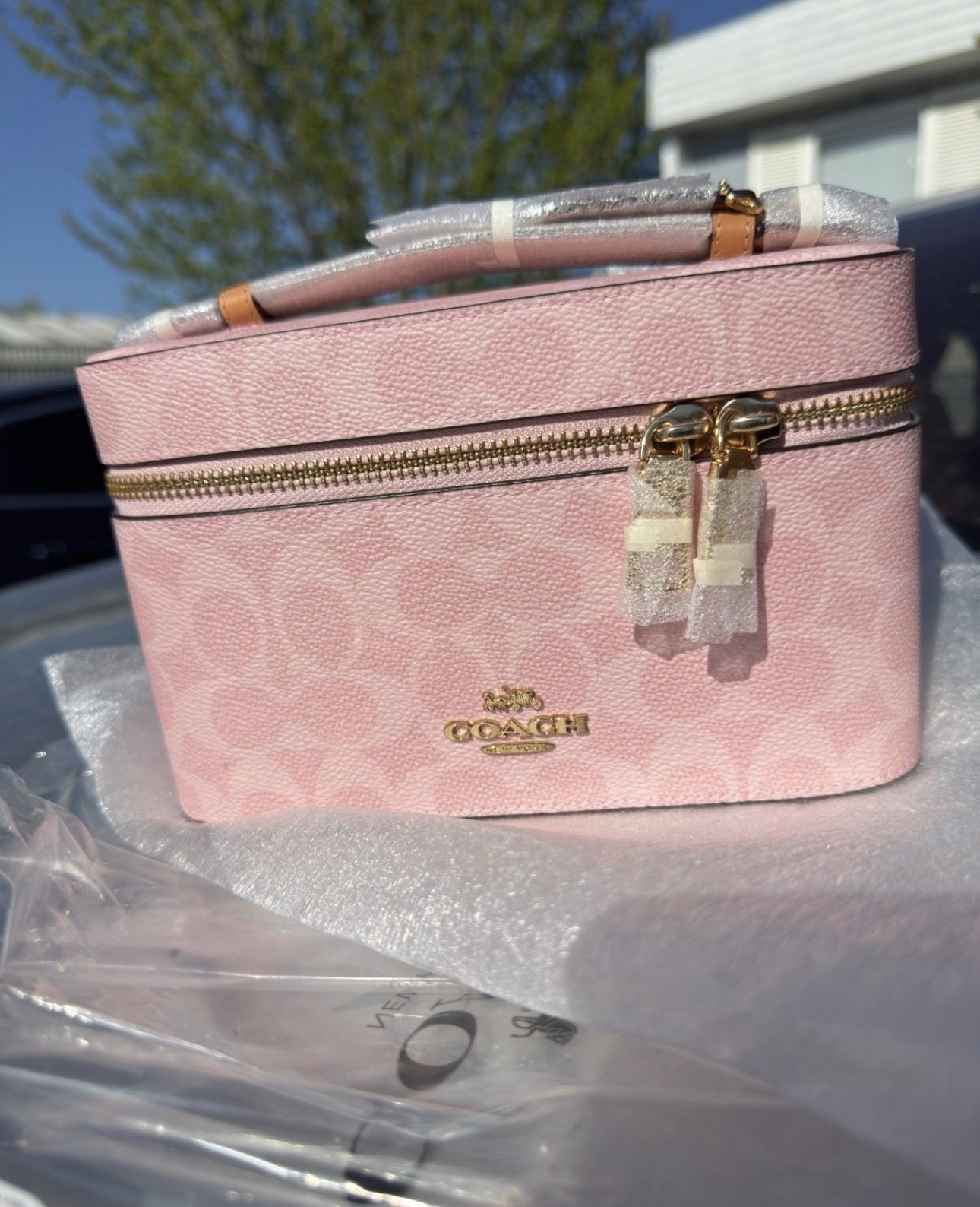 Coach Pink Leather Makeup Case Zipper Handle Mirror Cosmetic Bag CEA56
