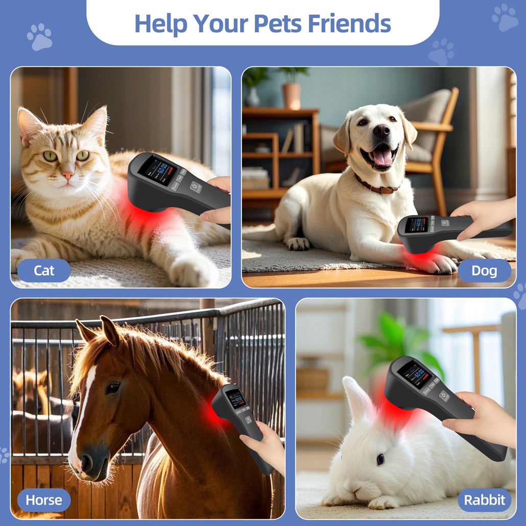 Pain Relief Laser Therapy Device LLLT Physiotherapy for Human Pet 650nm+808nm