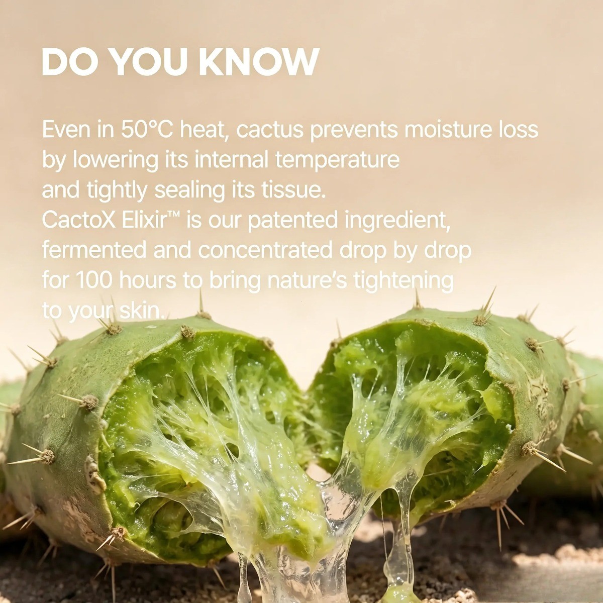 Dr. Melaxin CACTOX V-Cactus Cooling for Puffiness, Pore Tightening & Skin Repair