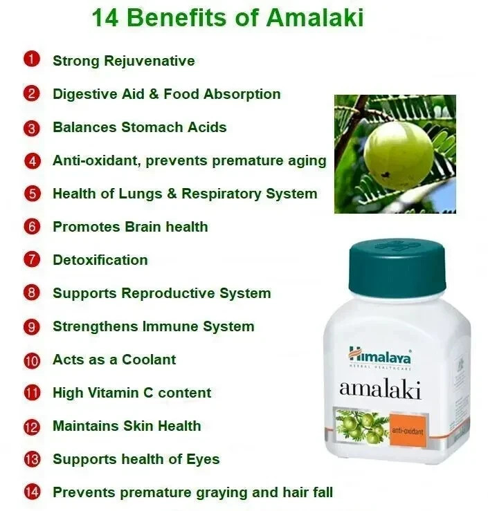 Himalaya AMALAKI Tablets Amla Gooseberry 3 Box 60 Tabs Each FREE SHIP Exp 2028