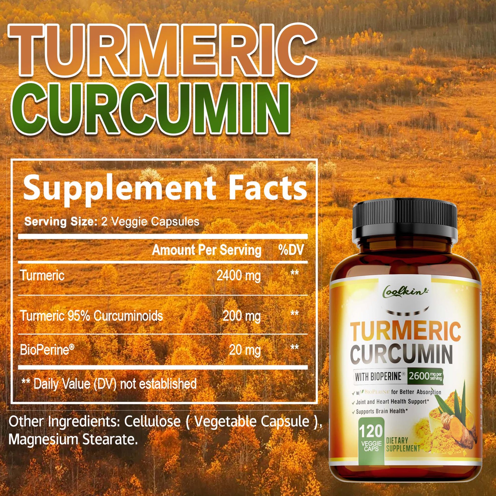 Turmeric Curcumin Highest Potency 95% 2600mg with BioPerine Black Pepper Extract