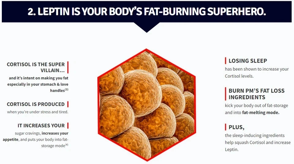 3 Pack BURN PM Sculptnation Thermogenic Natural Enhance Fat Burner weight Loss
