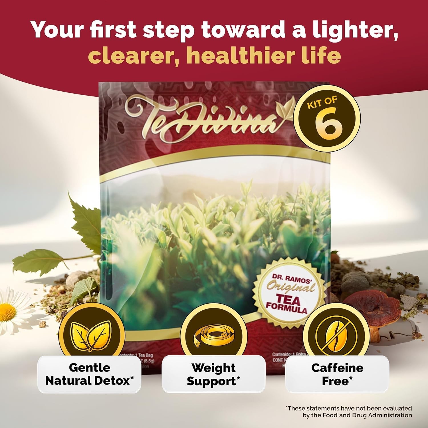 6 Pack TeDivina Herbal Tea Original 12 Herb Caffeine Free 0.3oz – Wellness Drink