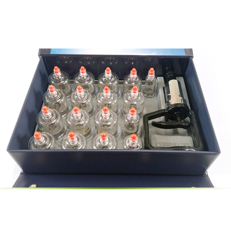 Hansol Professional Cupping Therapy Equipment Set with pumping handle 17 Cups