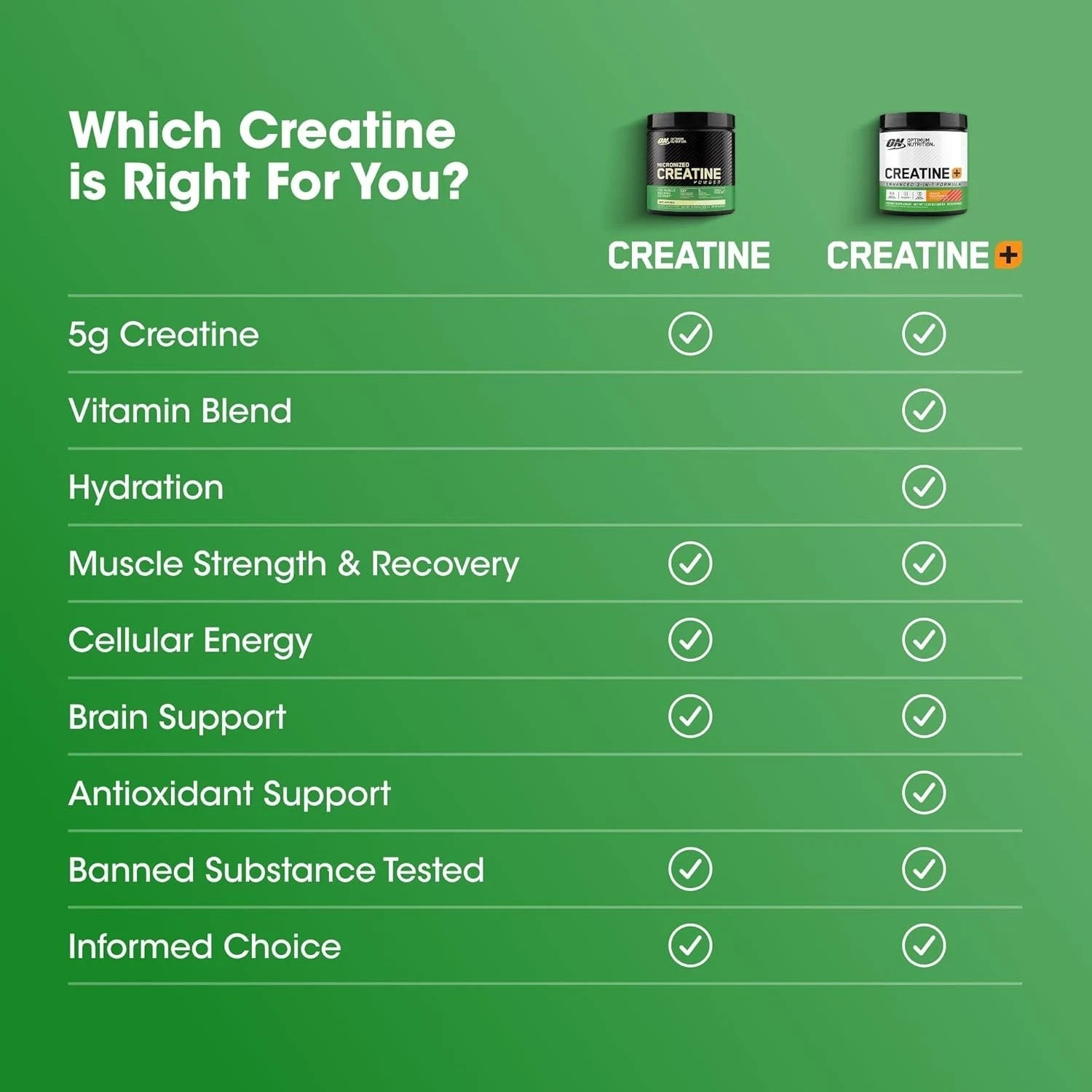 Optimum Nutrition Micronized Creatine Monohydrate Powder, Unflavored, 60 Serving