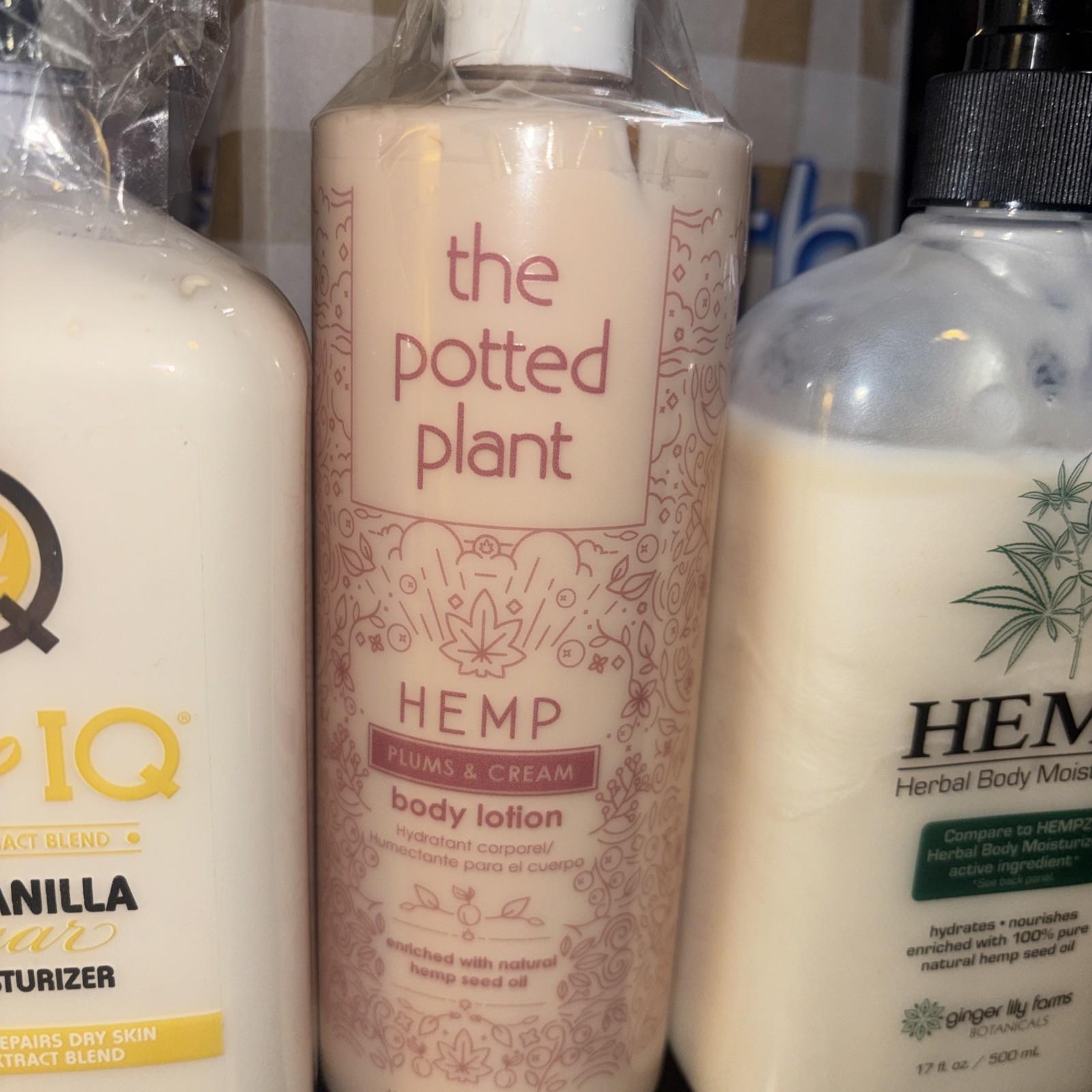 THE POTTED PLANT HEMP & IQ HEMP MOISTURIZERS FULL BODY LOTION VANILLA PLUM LILY