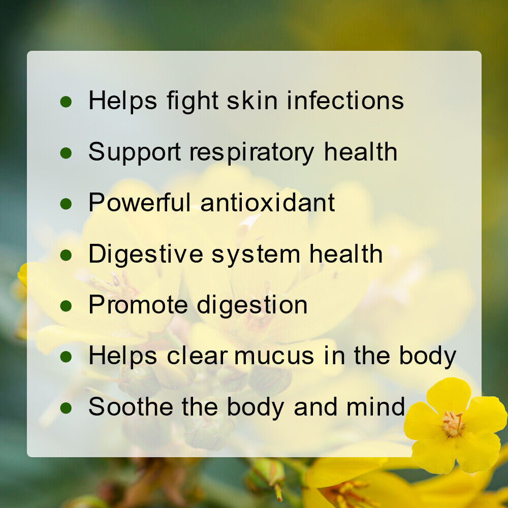 mullein leaf tea lung cleanse detox mullein leaf tea bags 60days