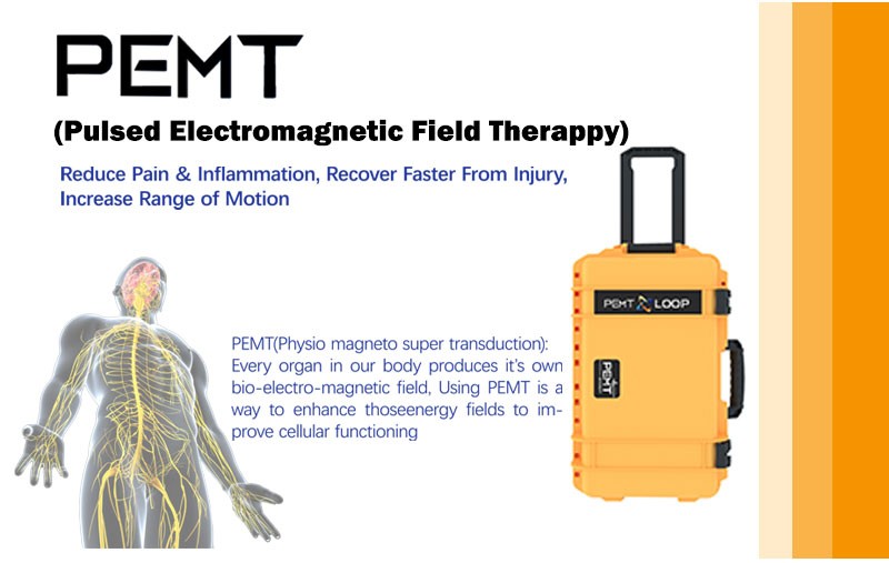 Portable Home Use PEMF Therapy Magnetic Therapy Chronic Pain Treatment Machine