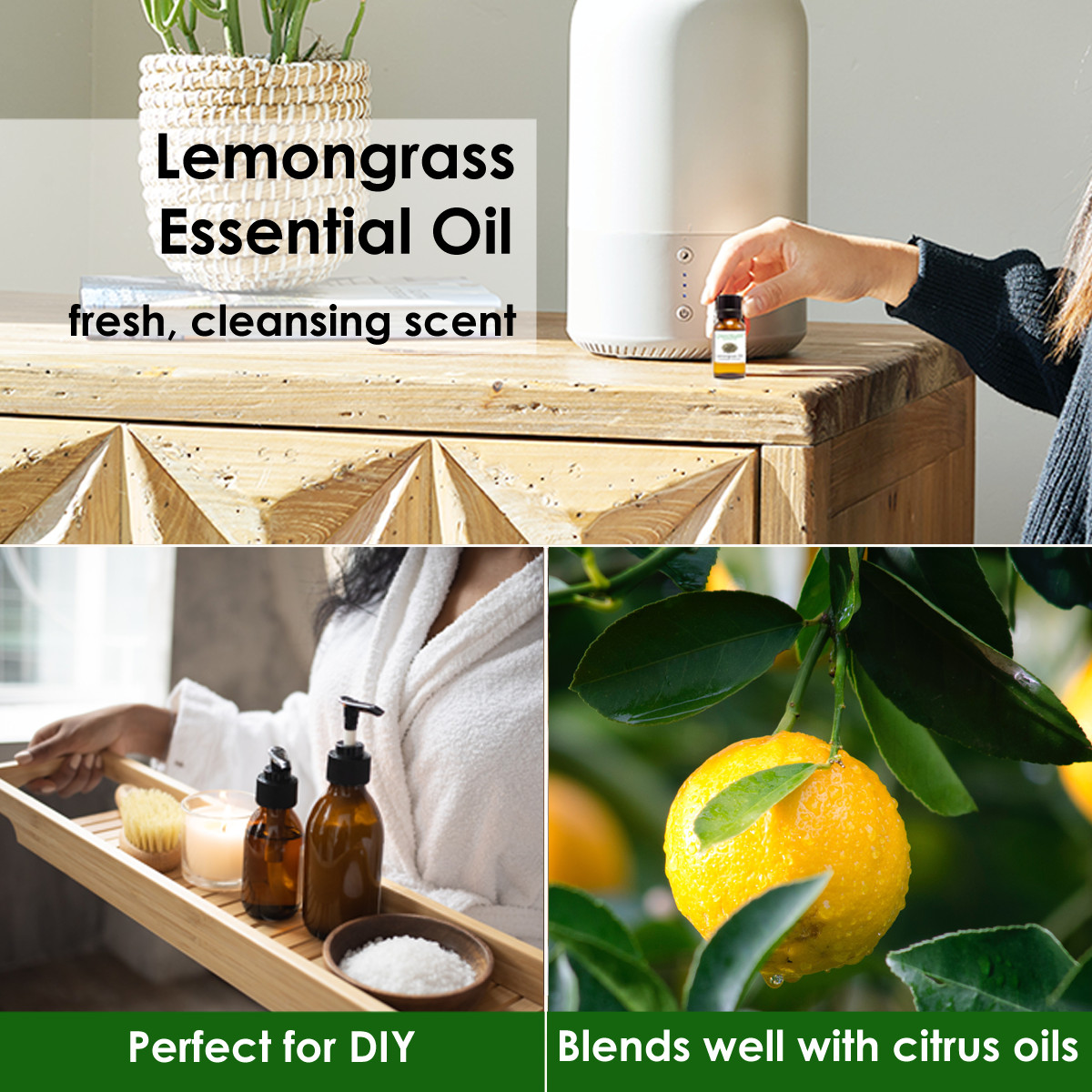 4 fl oz Lemongrass Essential Oil (100% Pure & Natural) – GreenHealth