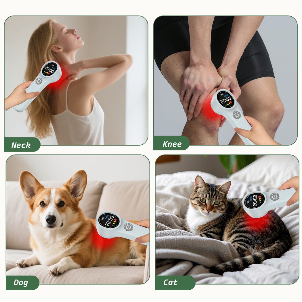 Low Level Laser Therapy Device Cold Laser for Pain Treatment 660nm 810nm 980nm