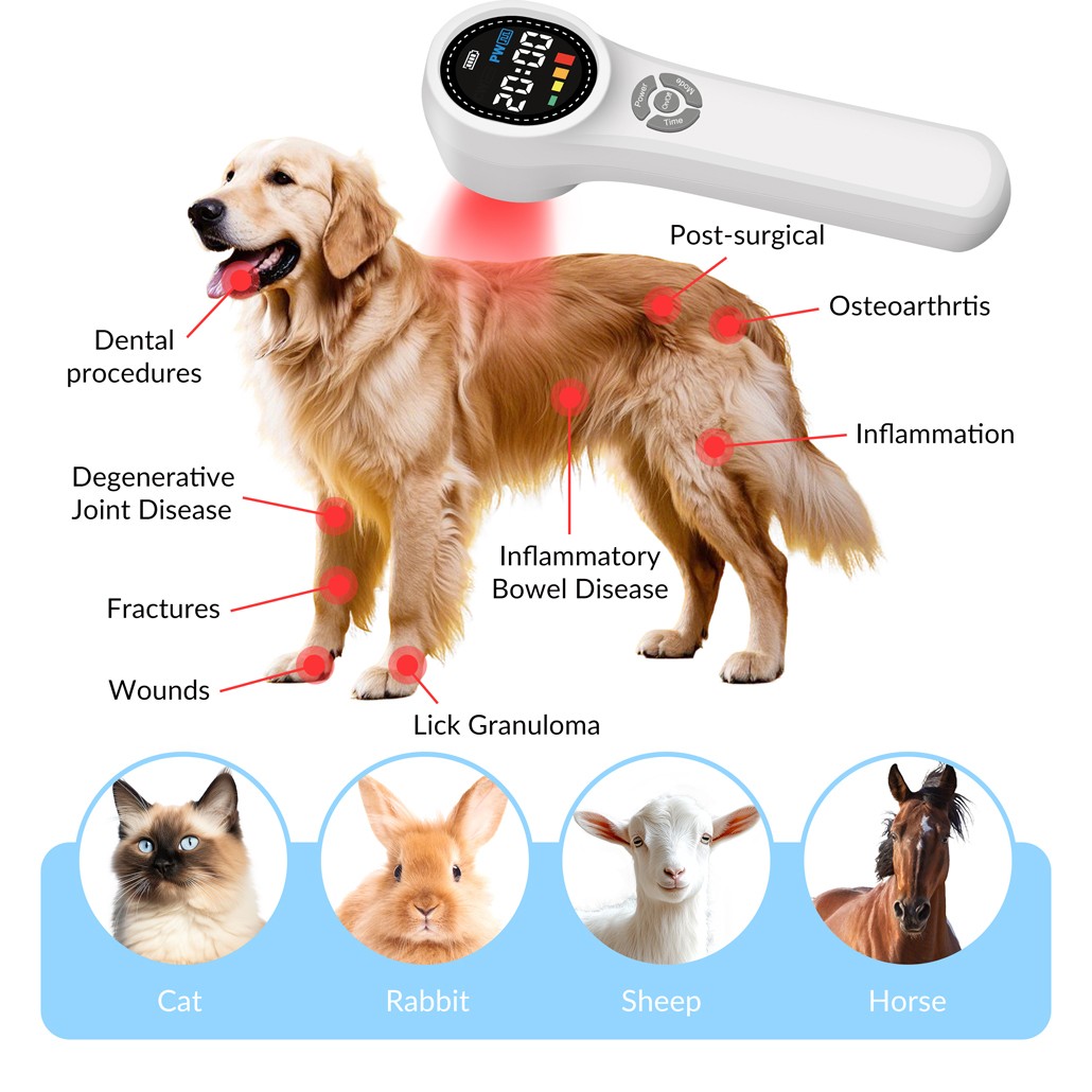 Home Handheld LLLT Laser Therapy NIR Light Physiotherapy Device for Human Pets