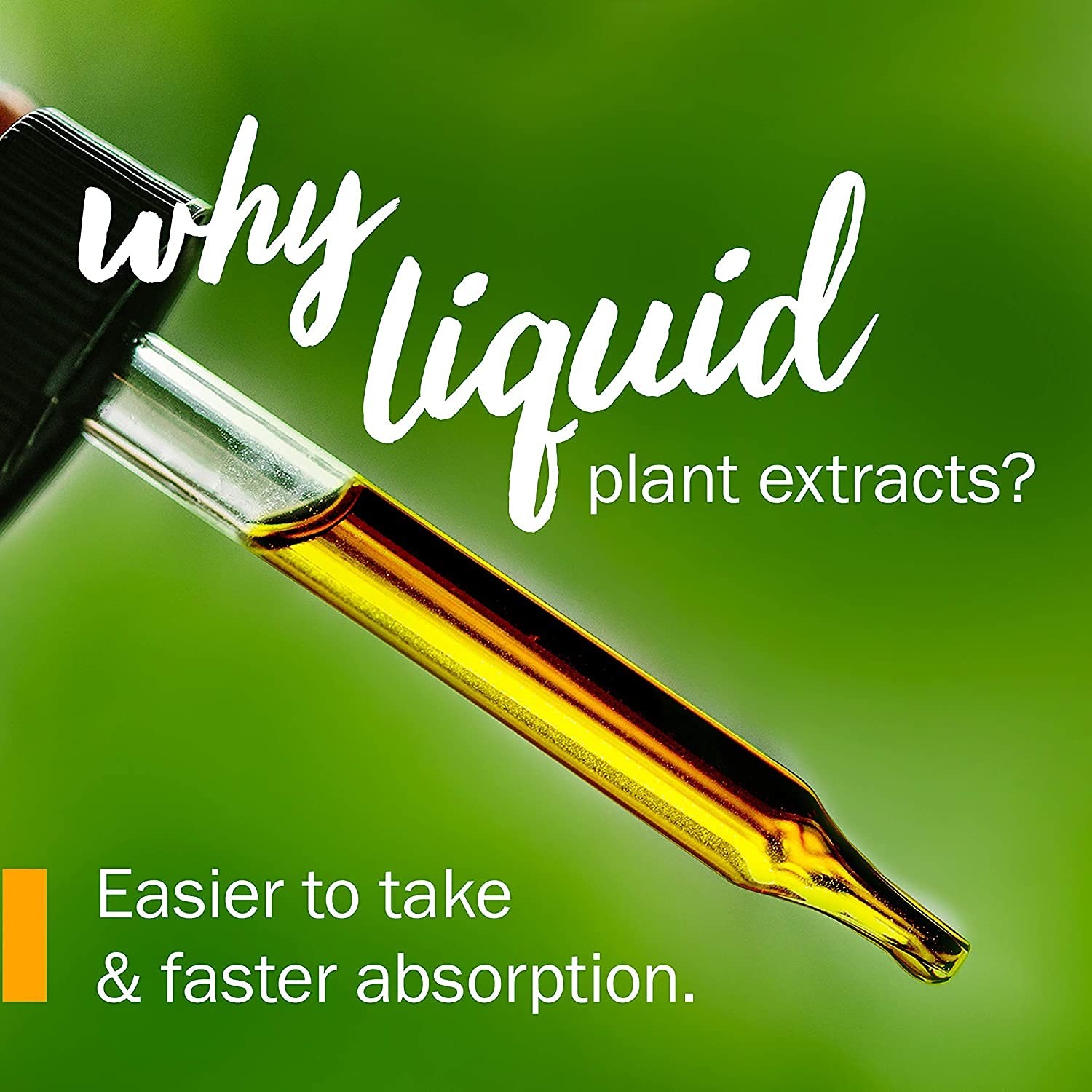 Herb Pharm Jamaica Dogwood Liquid Extract For – 4 Ounce Djdog04