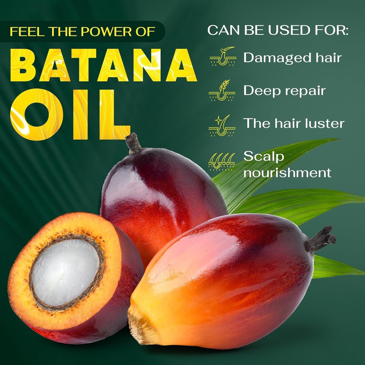 Botana Oil Hair Growth Batana Oil for Hair Growth Dr Sebi Organic,100 Percent Pu