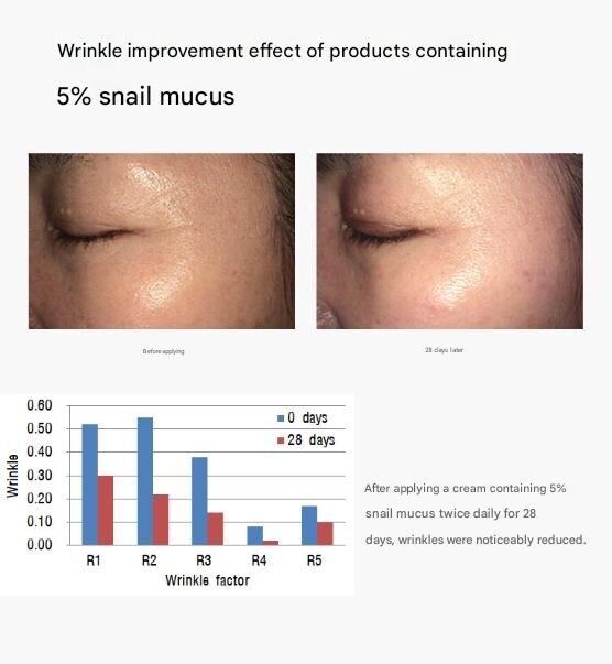 KOREA BEST Perfect Cover Snail BB Cream 50ml Korean Cosmetics Korea No.1 BB