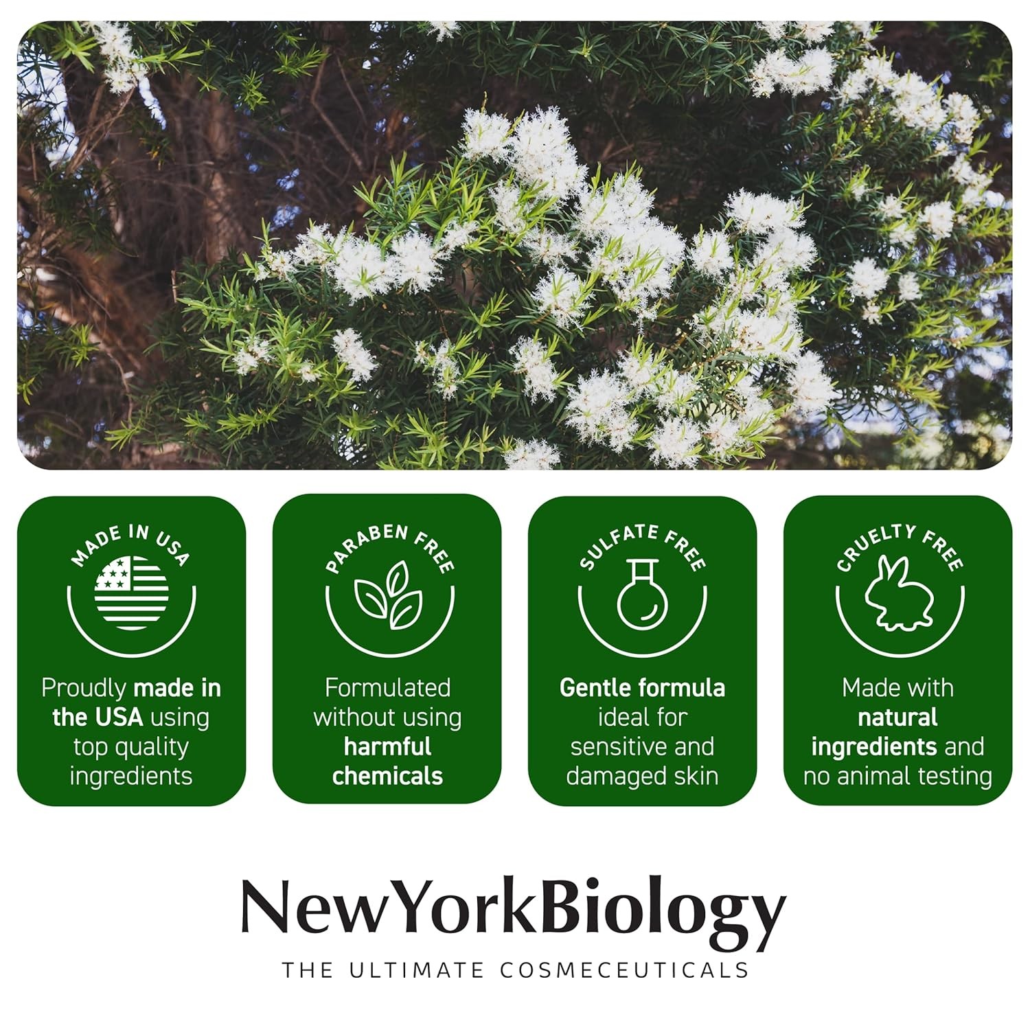 New York Biology Tea Tree Oil Foot Cream for Dry Cracked Feet, Athletes Foot, Na