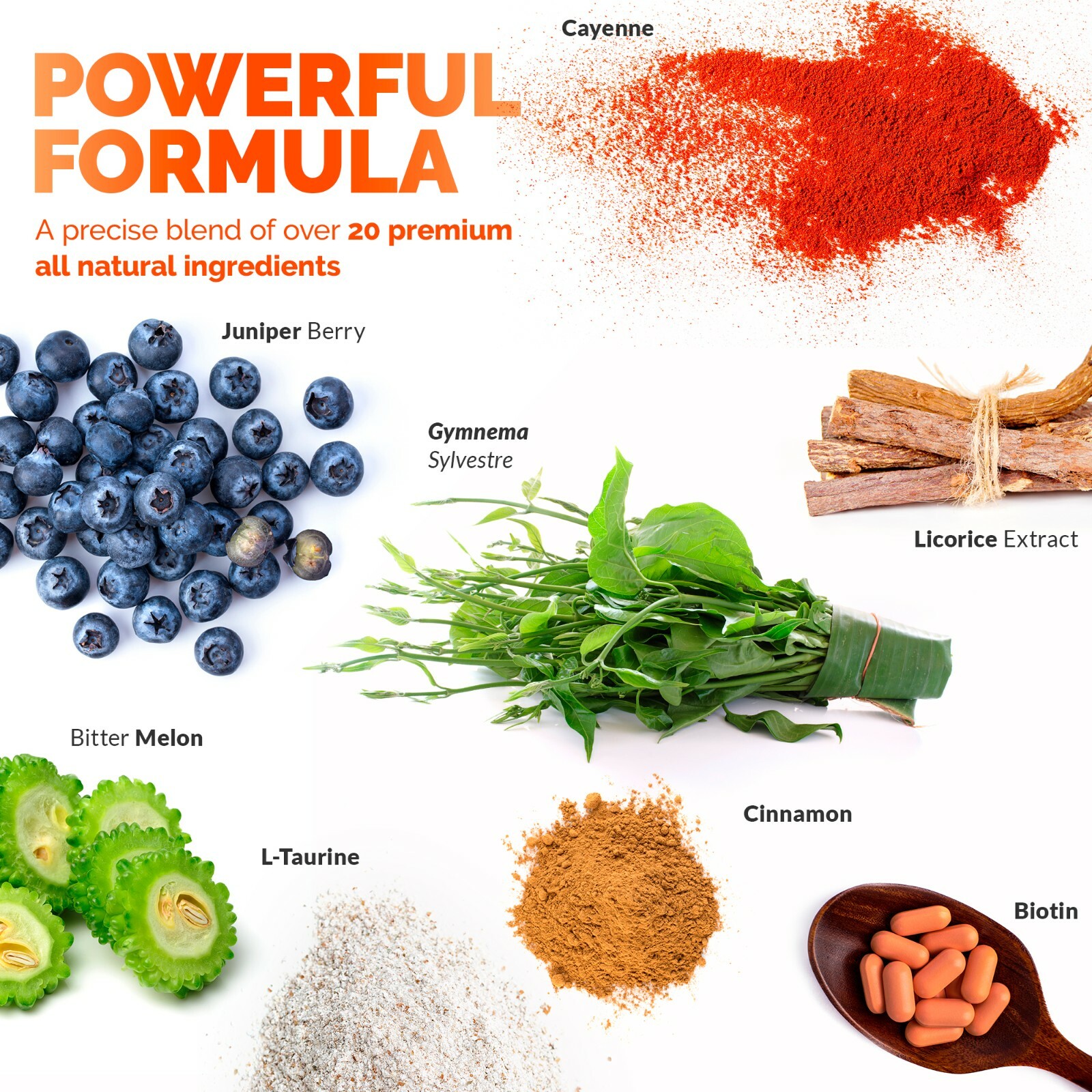 Blood Sugar Formula – Naturally Lower & Balance Glucose Levels – Diabetic Help