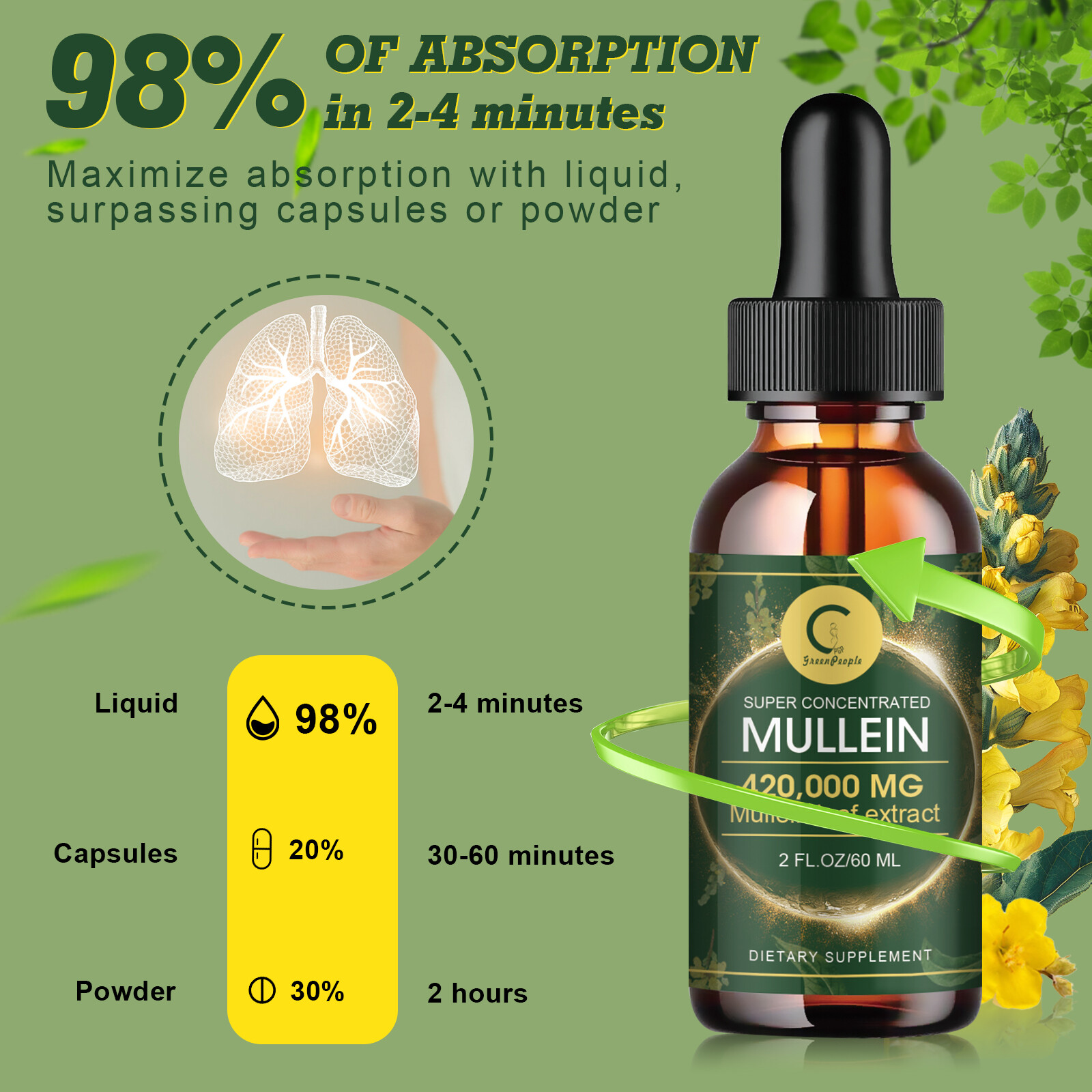 2 PACK Mullein Drops for Lungs, Detox and Cleanse Mullein Extract Supplement