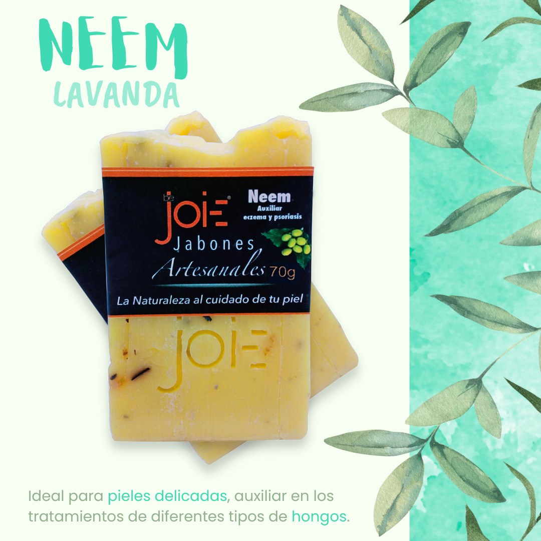 3 Handmade Natural Vegan Soap Neem with Lavender BeJoie (2.5) oz each