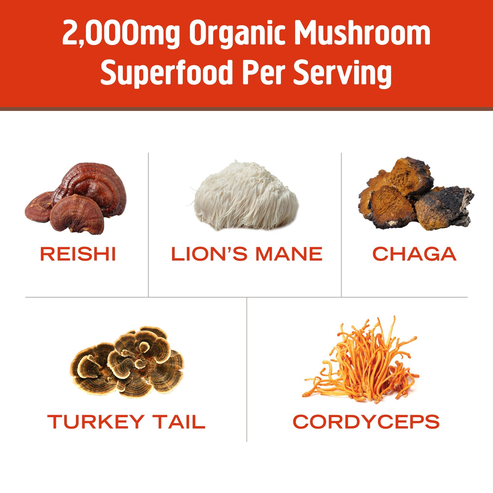 Om Mushroom Superfood Morning Energy Blend Coffee Free Mushroom Powder 10 Ser…