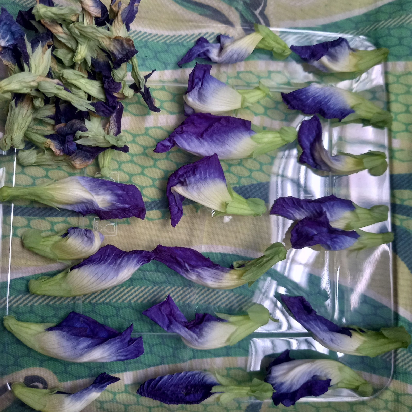 Butterfly Pea Flowers Dried Natural Blue Herbal Tea (500g) + DHL Ship