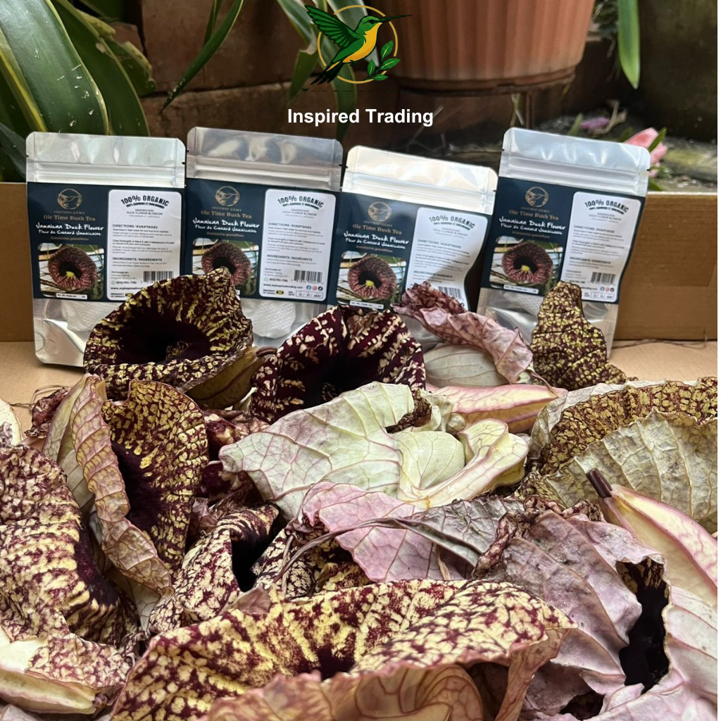 Jamaican Duck Flower Detox- Handpicked In Portland
