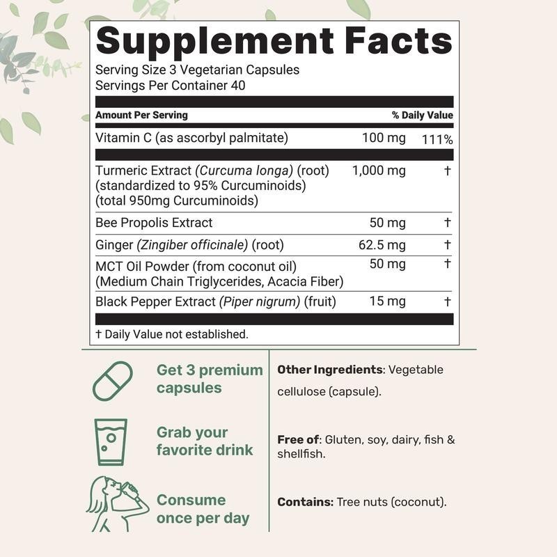 2 PACKS Pure Turmeric Curcumin Supplement 1,000mg | 95% Curcuminoids | 120Veggie