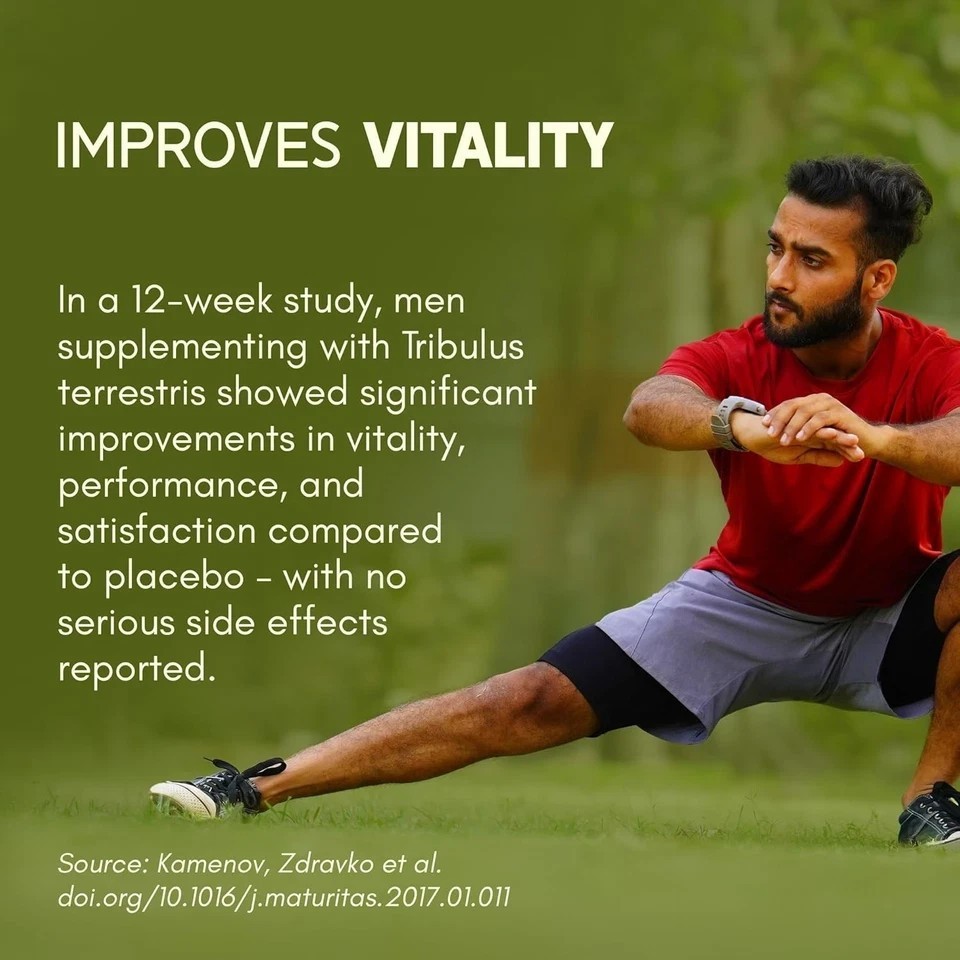 Gokshura -Puncture Vine ( Tribulus terrestris ) 1000mg tablets – 60 Tablet