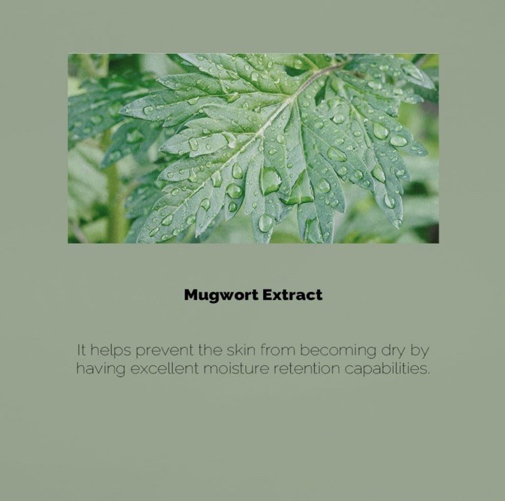 PrettySkin Mugwort Ceramide Toner Intensive Moisturizing&Soothing