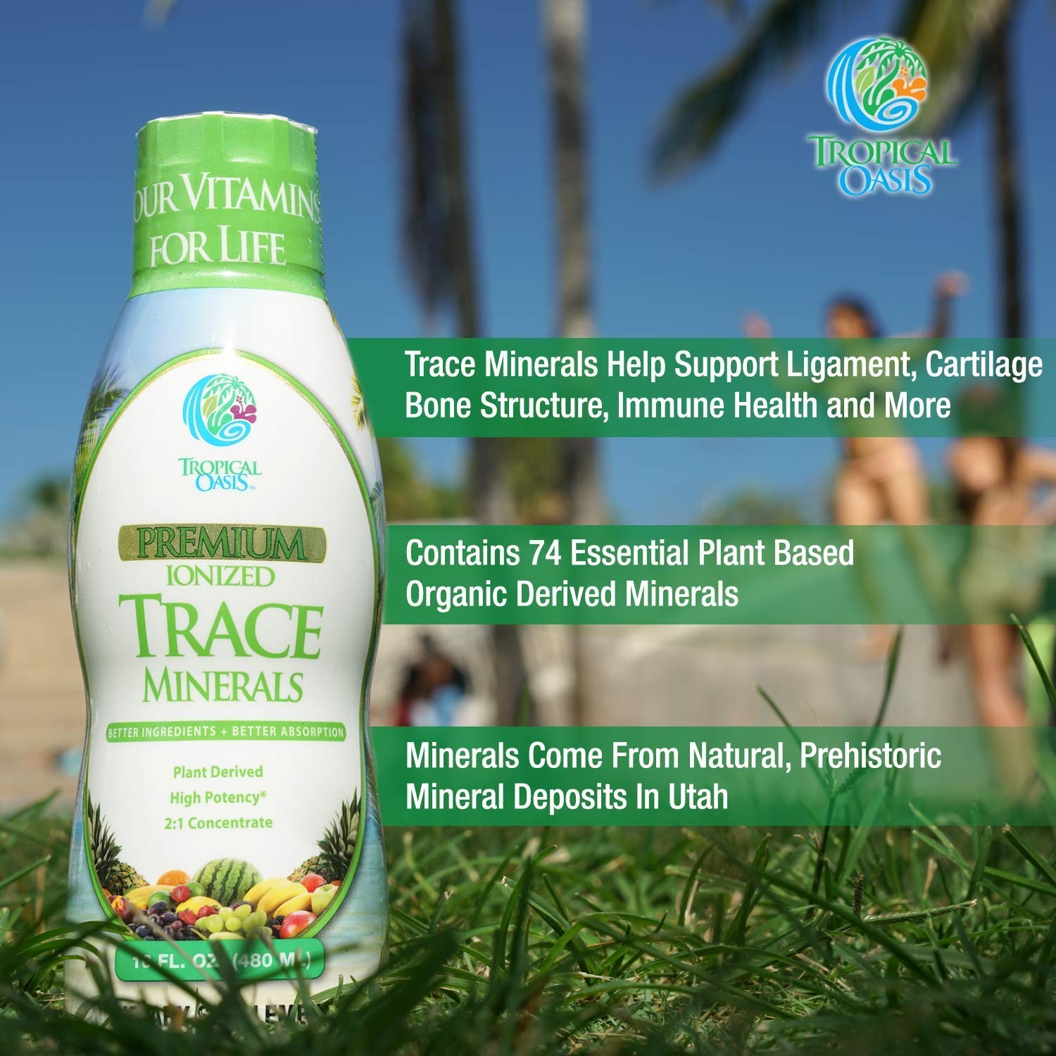 Tropical Oasis – Premium Ionized Plant 16 Fl Oz (Pack of 1), Color.value