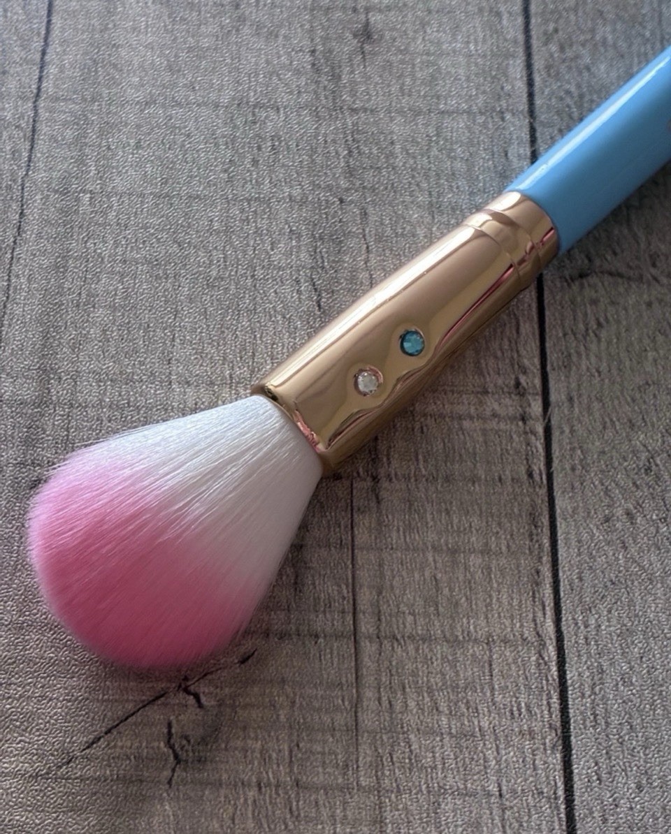 Slmissglam Tapered Highlight Brush