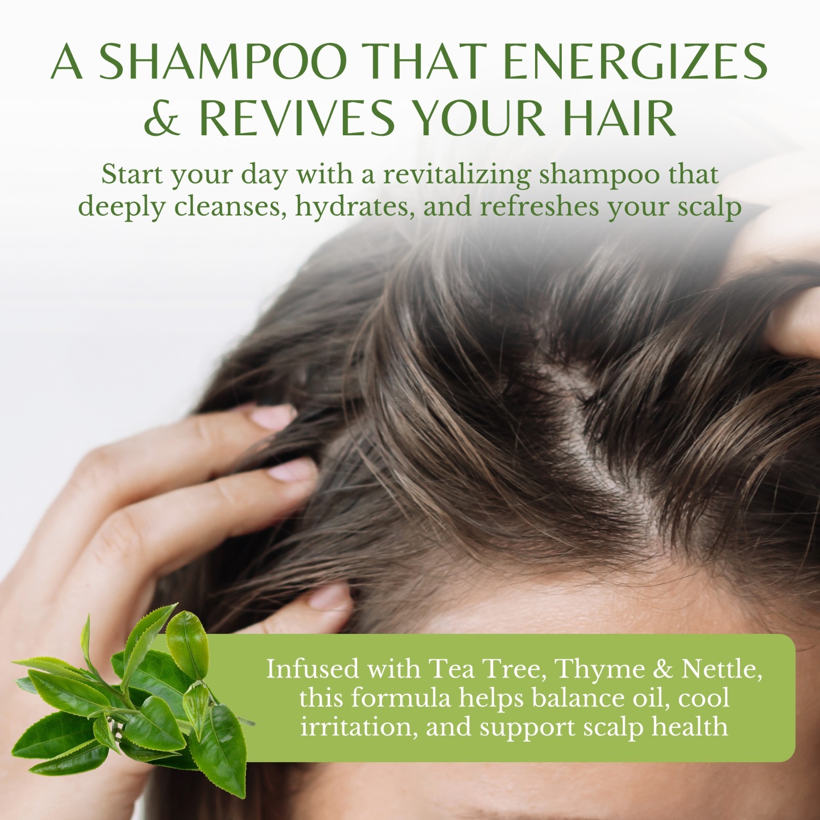 Edenika 2 Pack Tea Tree Shampoo Anti Dandruff Itchy Scalp Natural Lot 16 oz