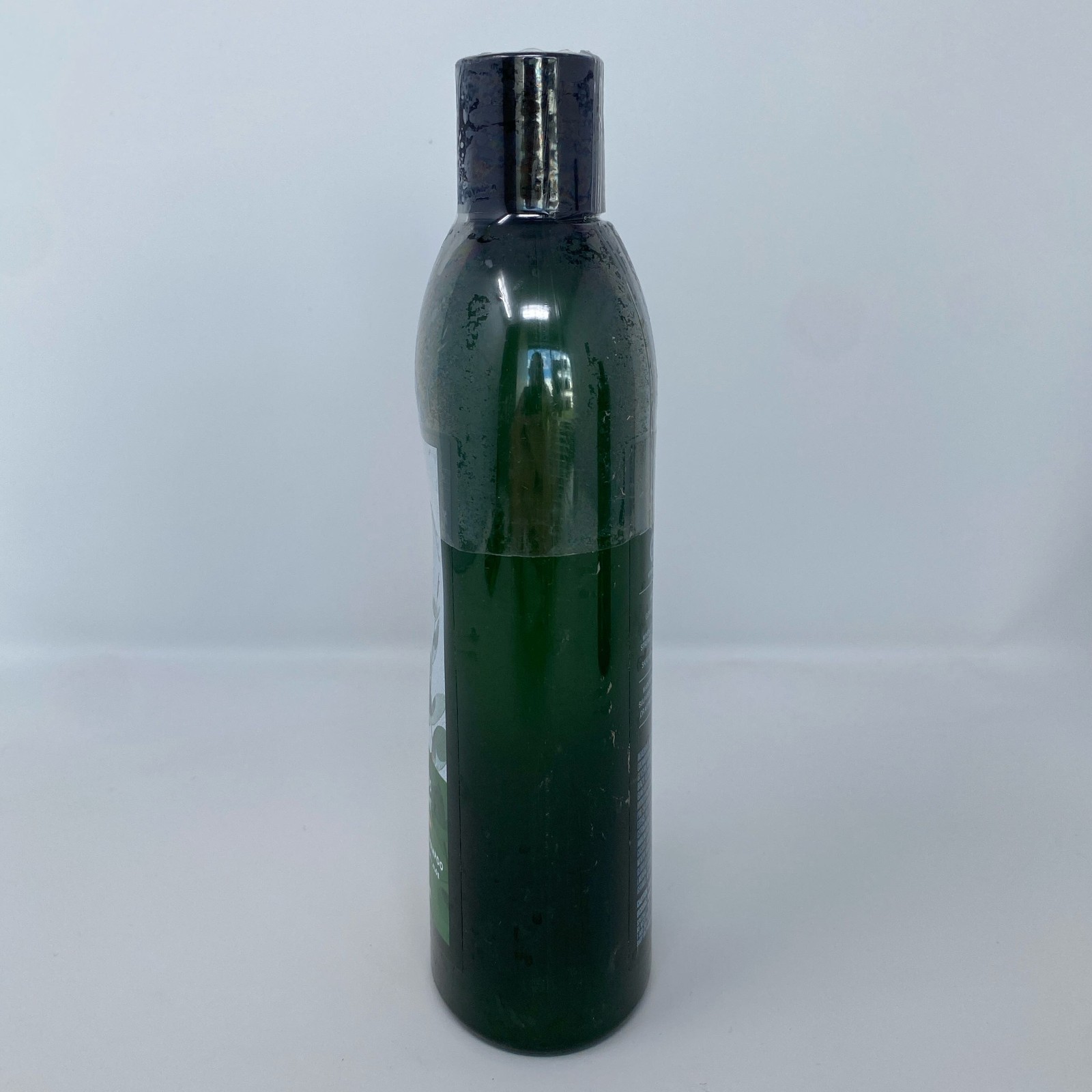 Bath & Body Works Eucalyptus Spearmint Shampoo 2-Pack 16oz Green