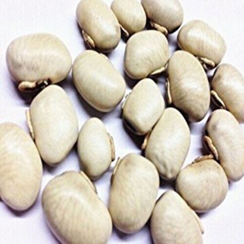 Safed Musli Shatavar Ashwagandha Konch Beej Roots Pack Complete Solution For Men