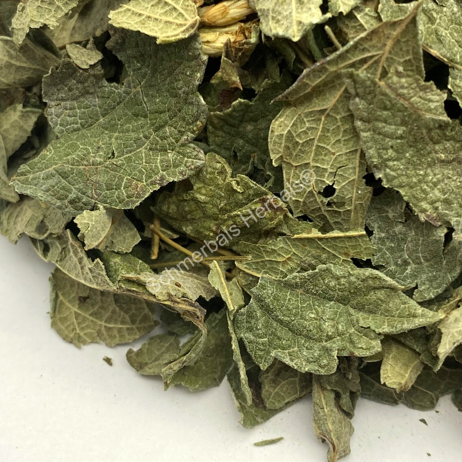Dream Herb, Calea zacatechichi, Organic Leaf, 1 oz FreeShip ~ Schmerbals Herbals