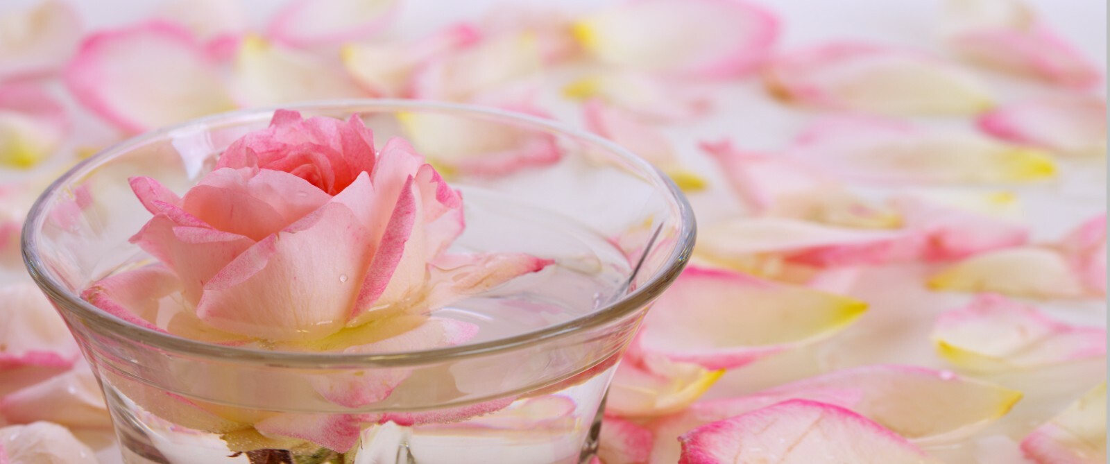 Rose water and glycerin natural hydrosol moisturizing hydration cleanser gallon