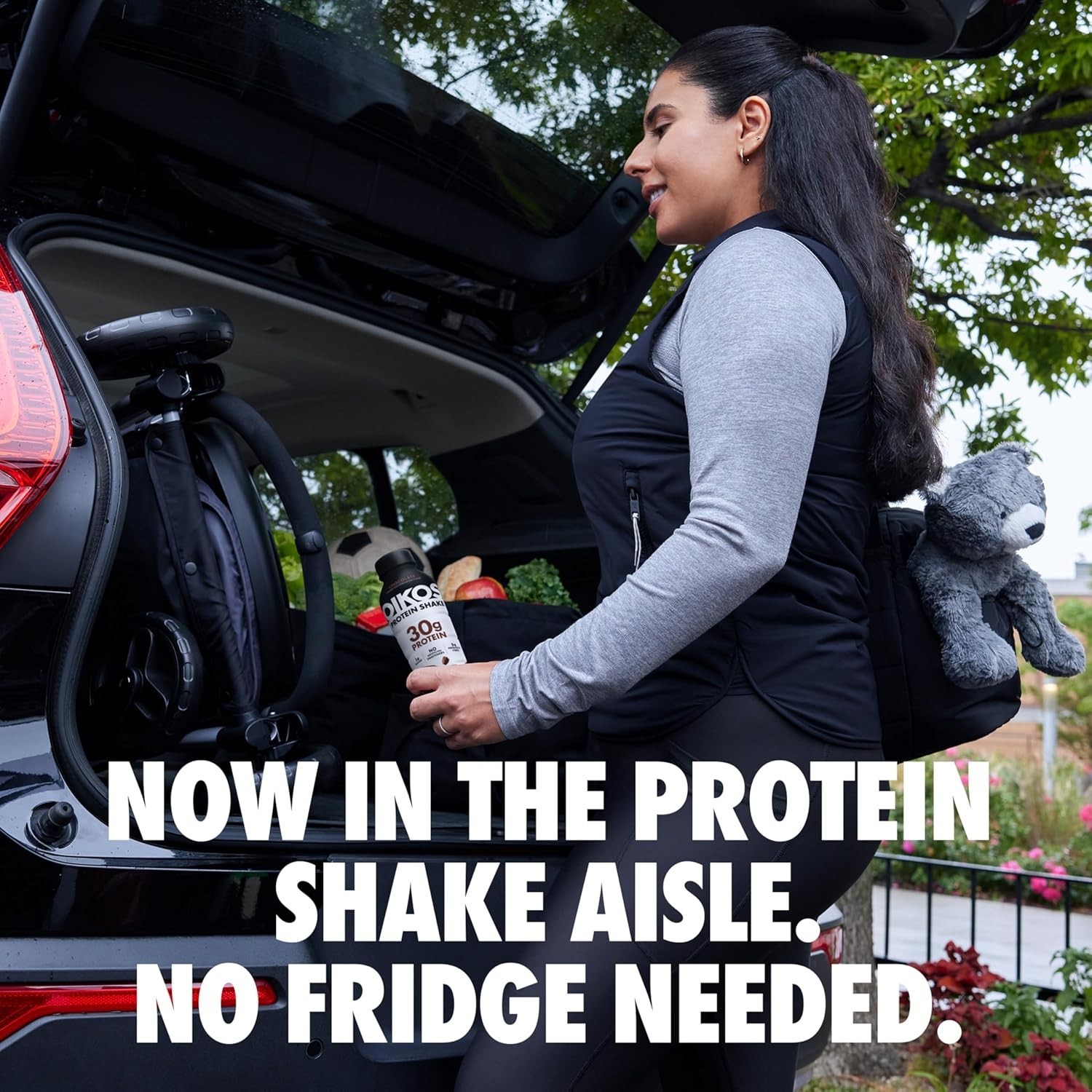 Oikos Protein Shake, Vanilla, 30g High Drinks, 12 Fl Oz (Pack of 12)
