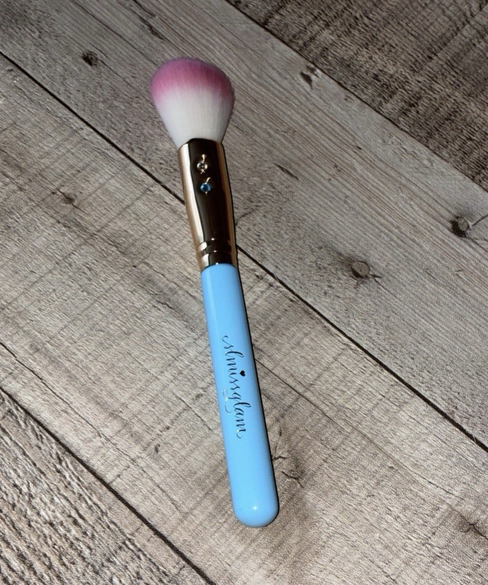 Slmissglam Tapered Highlight Brush