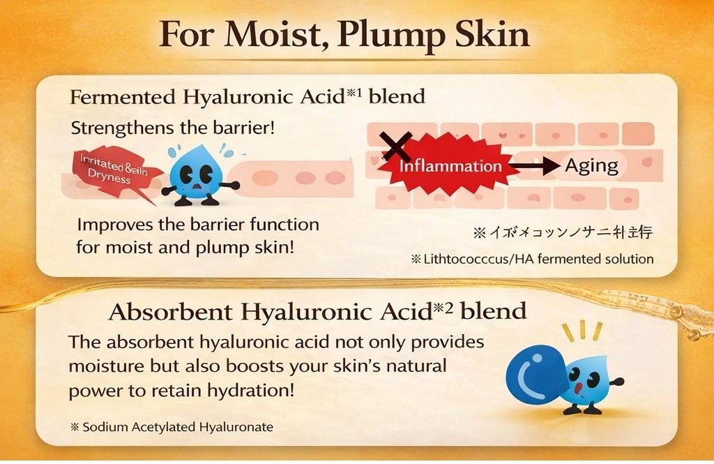 US seller: Japan Rohto Hadalabo Gokujyun Premium hydrating Lotion refill 170ml