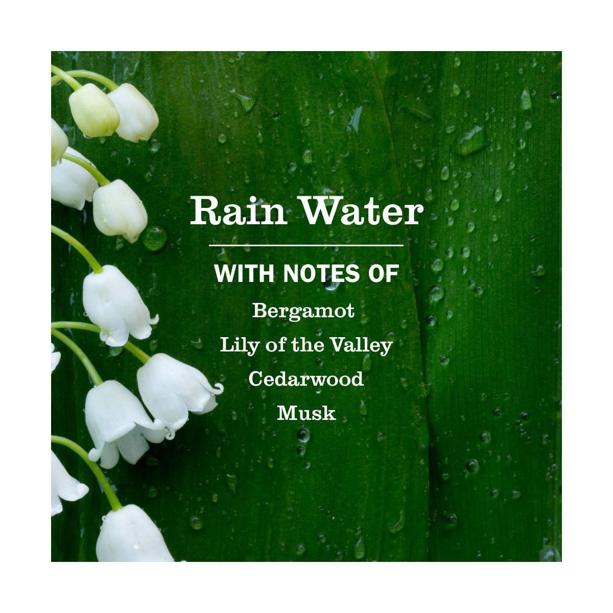Mrs. Meyer’s Clean Day Rain Water Dish Soap Refill – 48 fl oz: Removes Grease