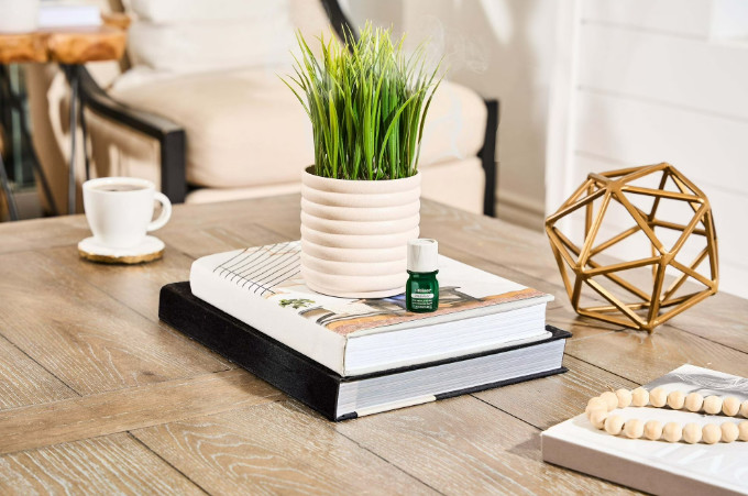 Lifelines Plant Diffuser Bubble White Grass Fir Pine Scent