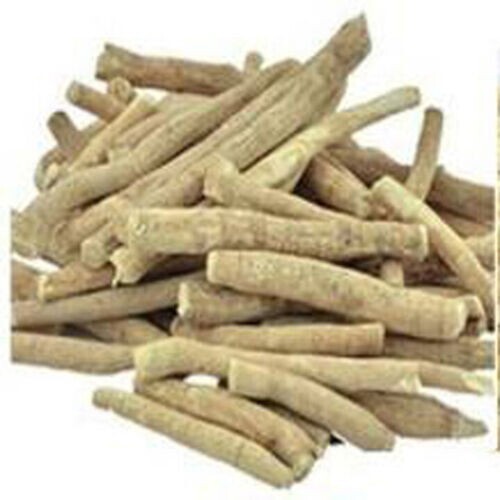 Safed Musli Shatavar Ashwagandha Konch Beej Roots Pack Complete Solution For Men
