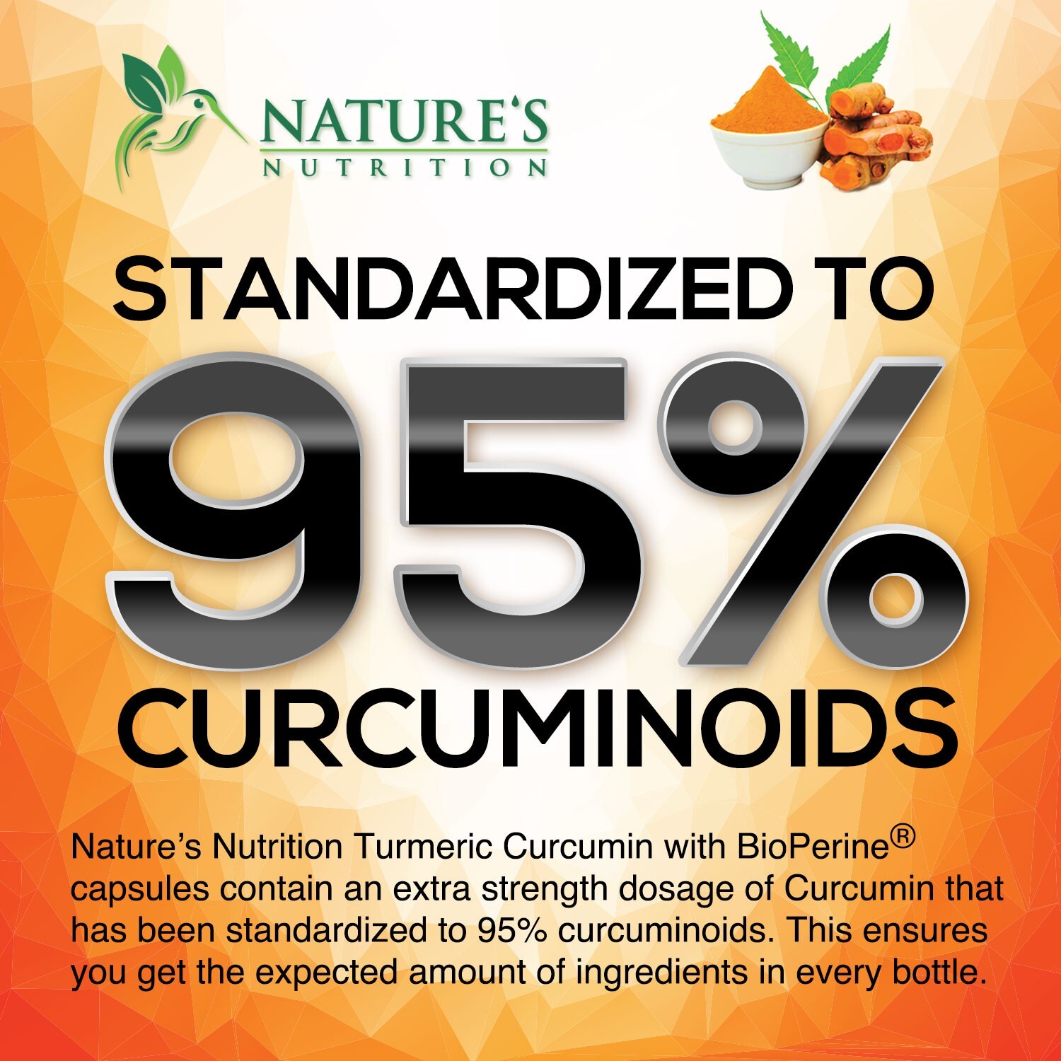 Turmeric Curcumin w/ Ginger & BioPerine Black Pepper – 1,950mg 95% Standardized
