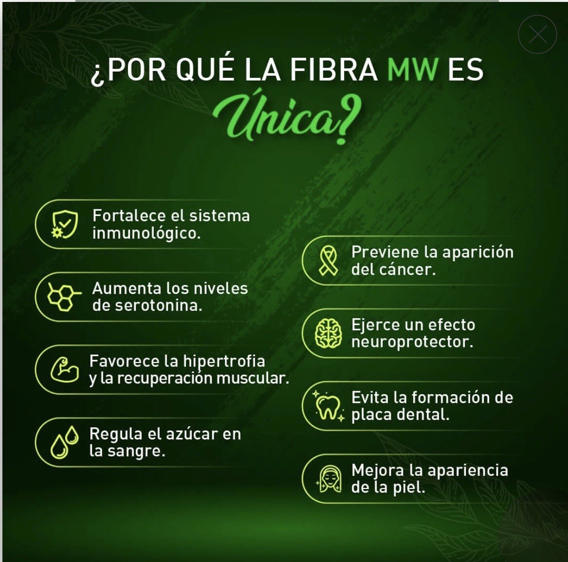 MW FIBER / FIBRA MW 100% NATURAL/Linaza/Gengibre/Flor de Jamaica/Te Matcha