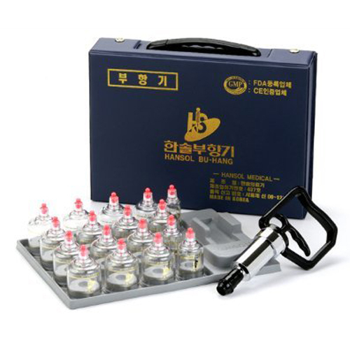 Hansol Professional Cupping Therapy Equipment Set with pumping handle 17 Cups