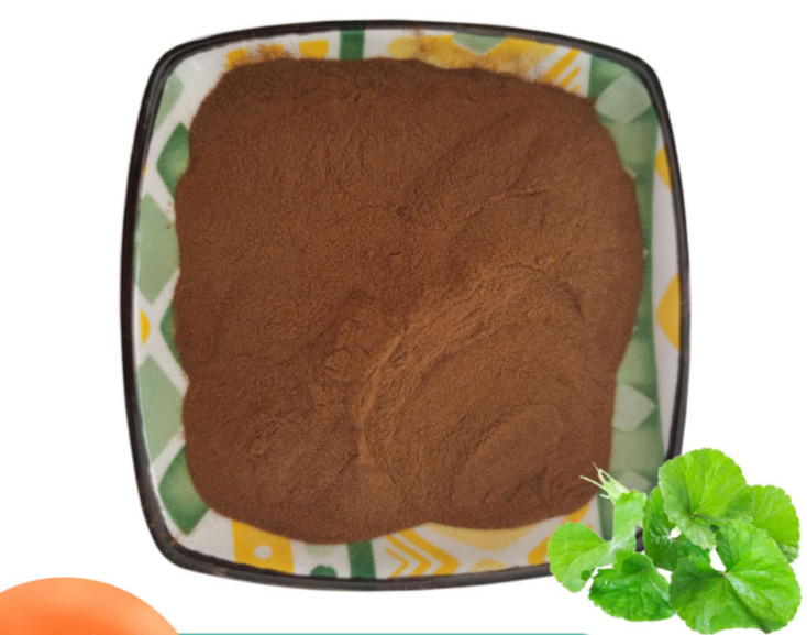 500g Gotu Kola Extract Powder Natural