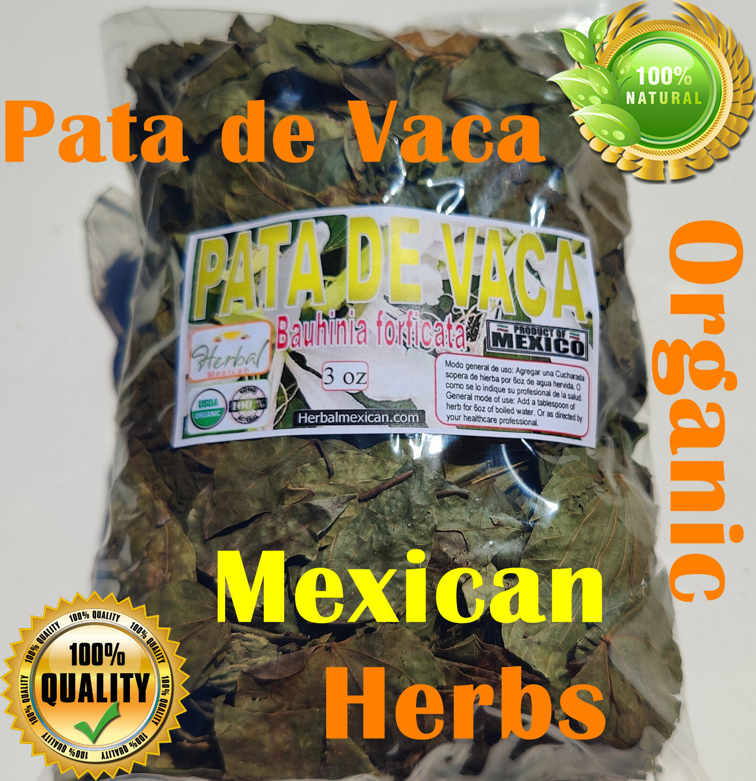 Pata de Vaca – Hojas pata de vaca – cow’s foot (Bauhinia forficata)
